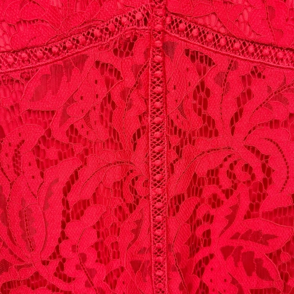 HP🌸 NWT Taylor Red Lace Sleeveless Midi dress size 6 - Picture 7 of 15